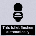 this-toilet-flushes-automatically~